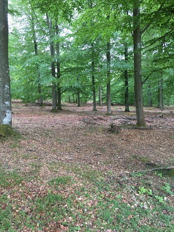 Lusthuset Villa Solvesborg Bagian luar foto
